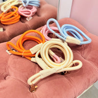 Pawsome Leash (Blue)