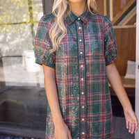 Twinkle Season Dress