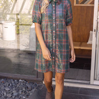 Twinkle Season Dress
