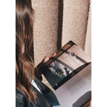 The Armor of God Women's Reading Guide