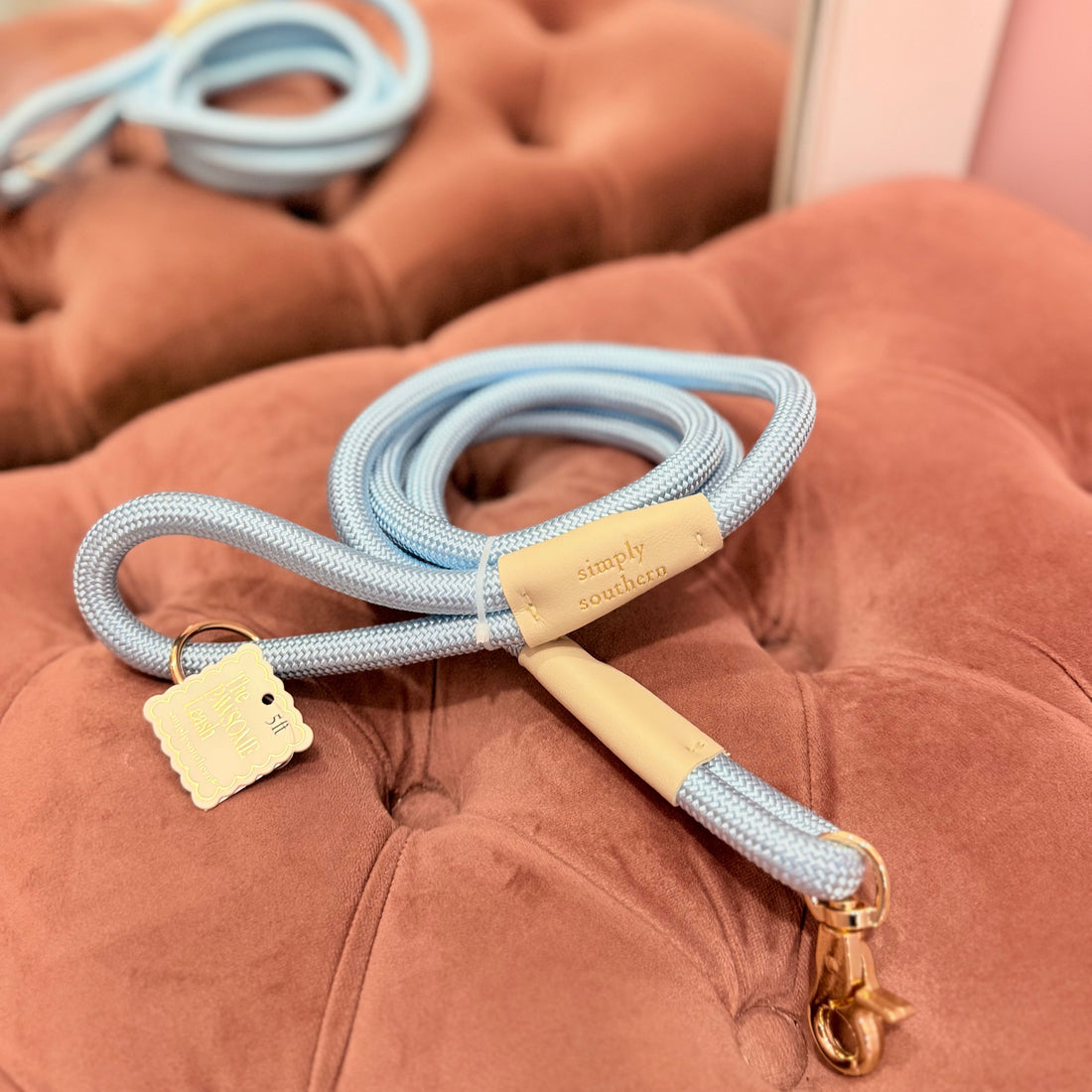 Pawsome Leash (Blue)