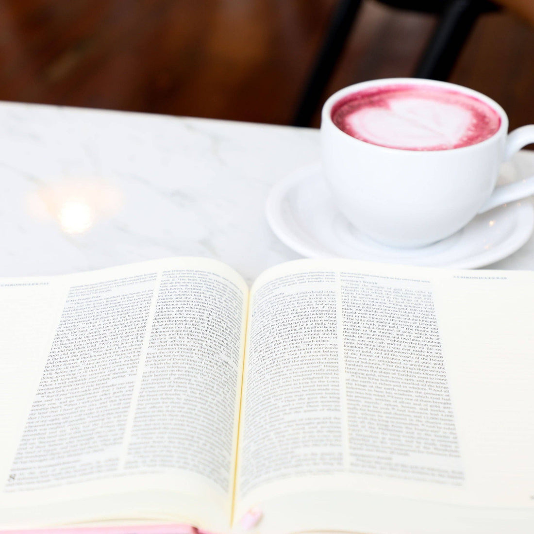 The Holy Bible - Blush, ESV Journaling Bible