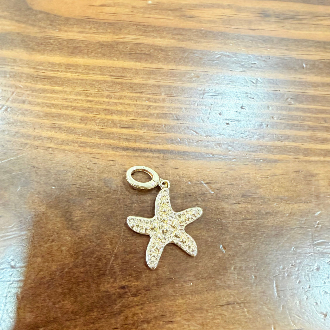 Shell Charm