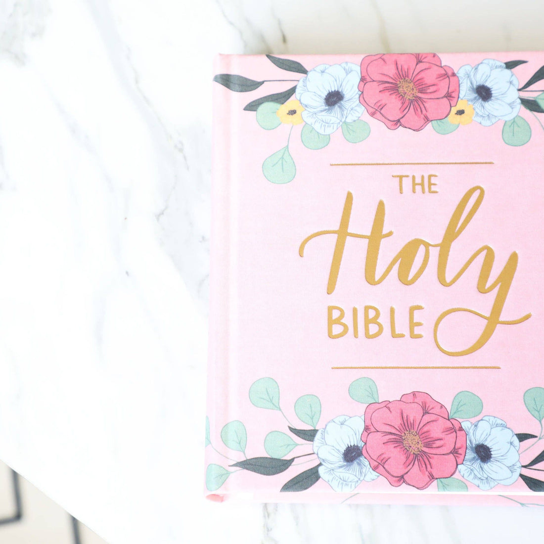 The Holy Bible - Blush, ESV Journaling Bible