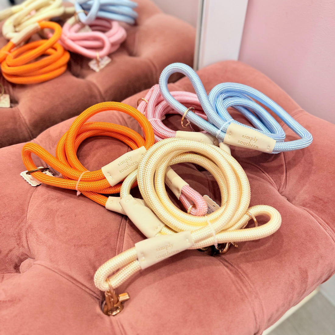 Pawsome Leash (Blue)