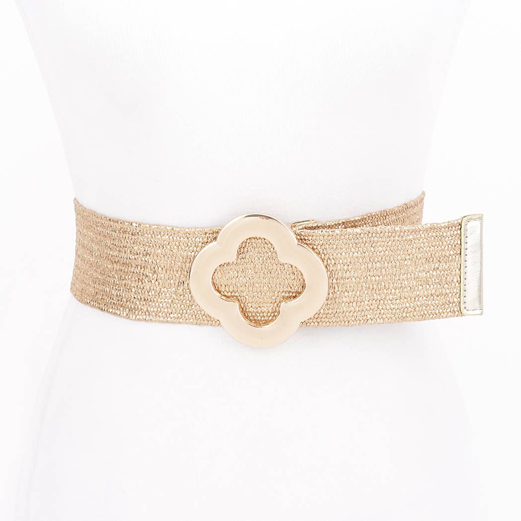 Metal Buckle Metallic Stretch Belt