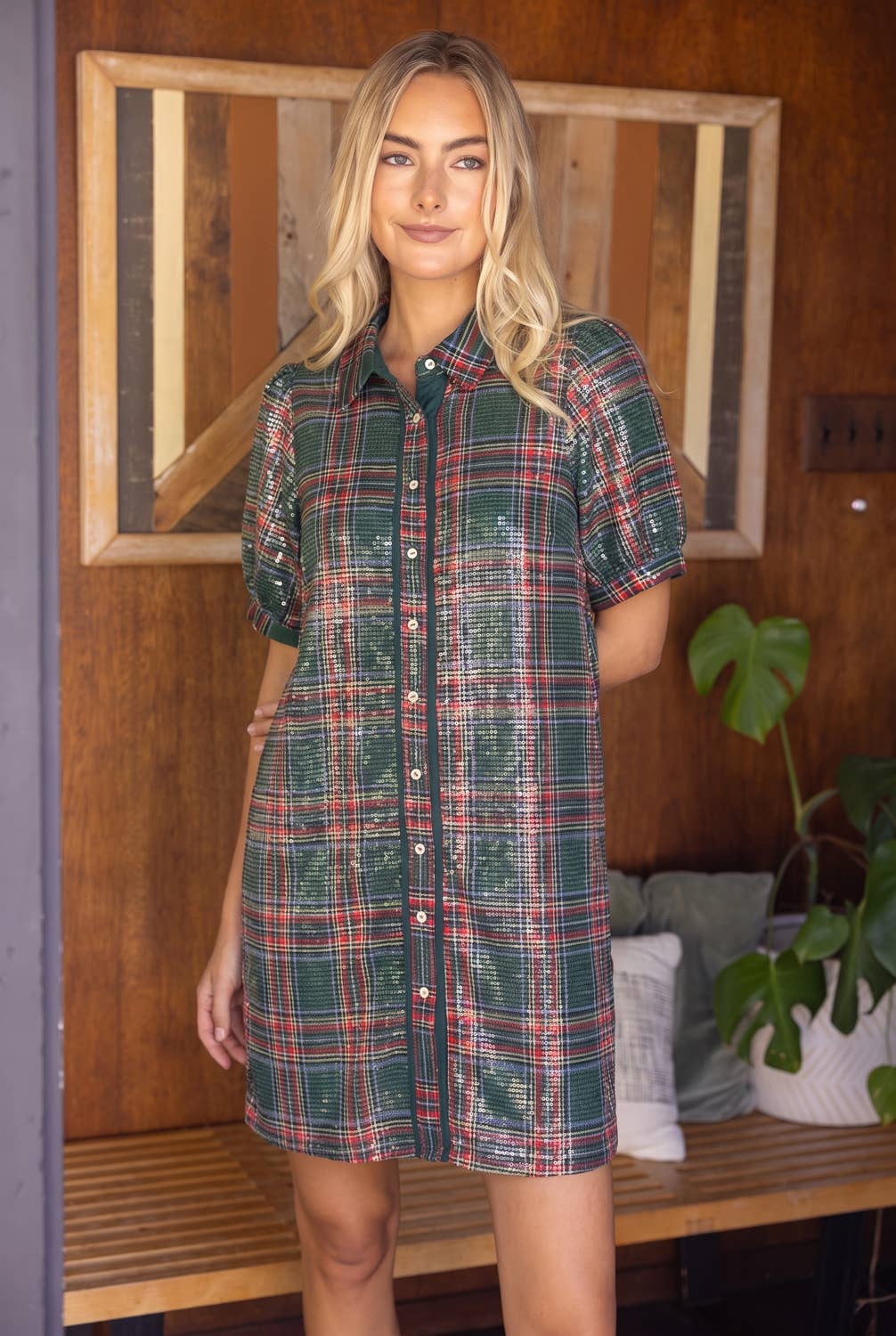 Twinkle Season Dress