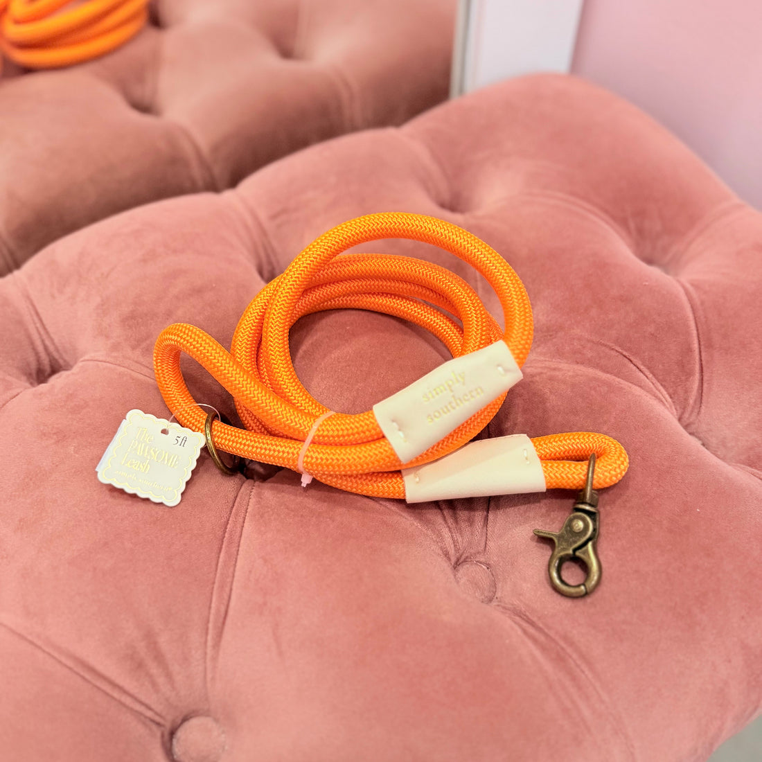 Pawsome Leash (Orange)