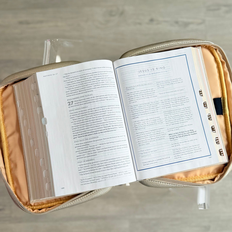 Bible Cover (Champagne)