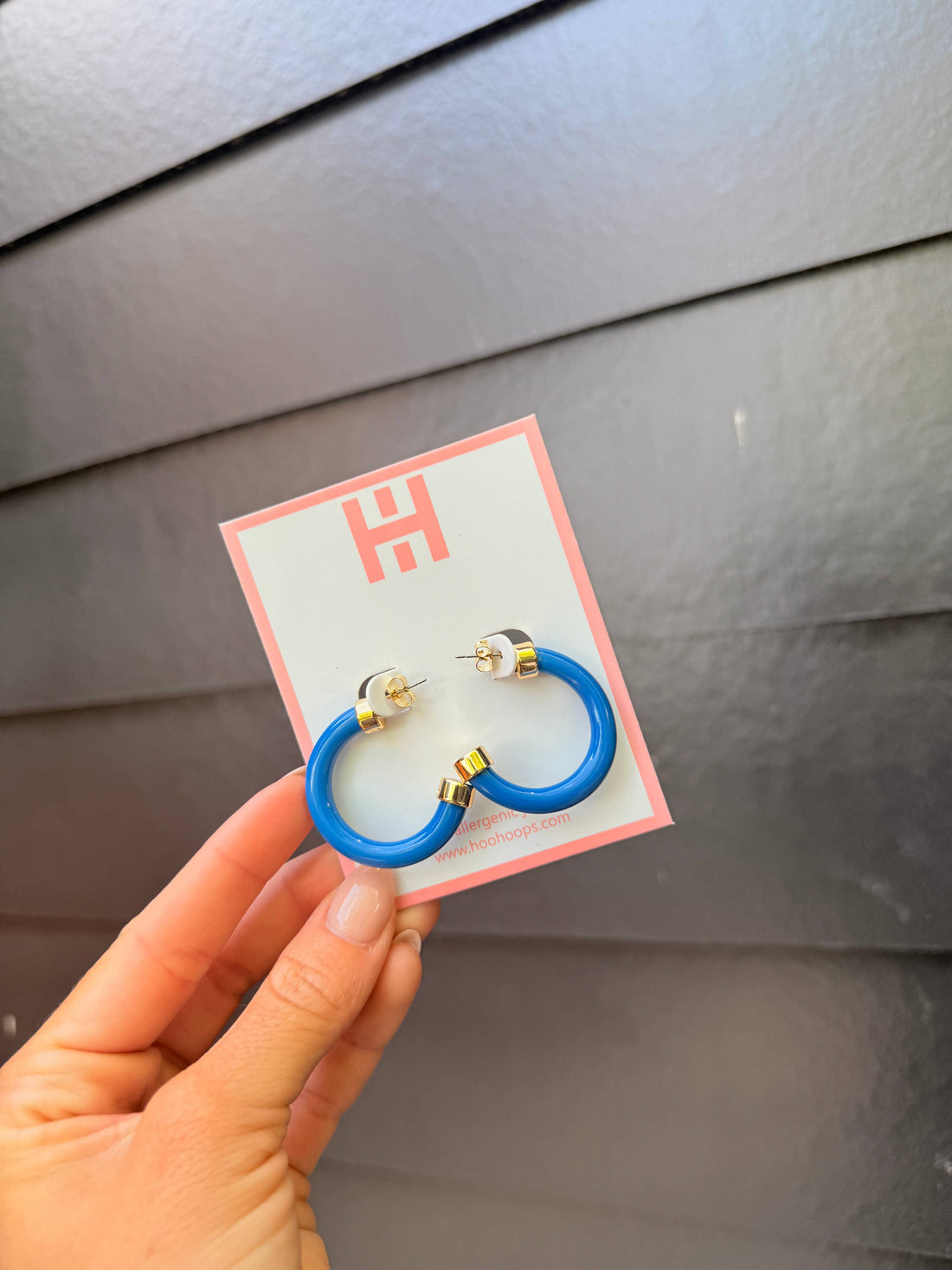 Hoo Hoops, Small Hoop Earrings (royal blue)