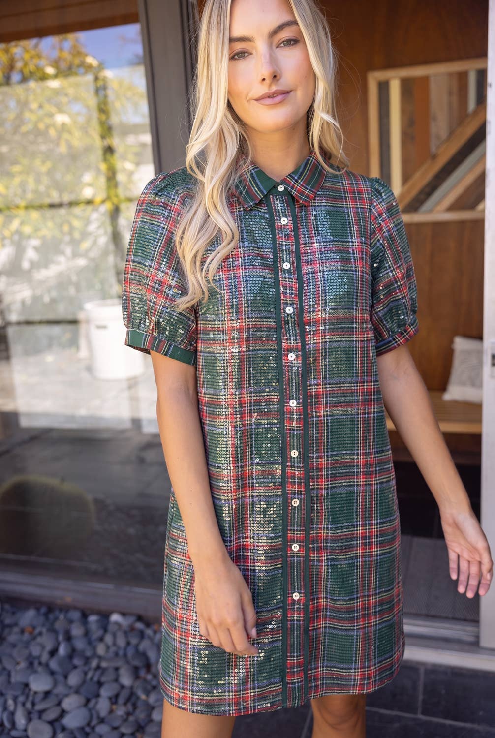 Twinkle Season Dress