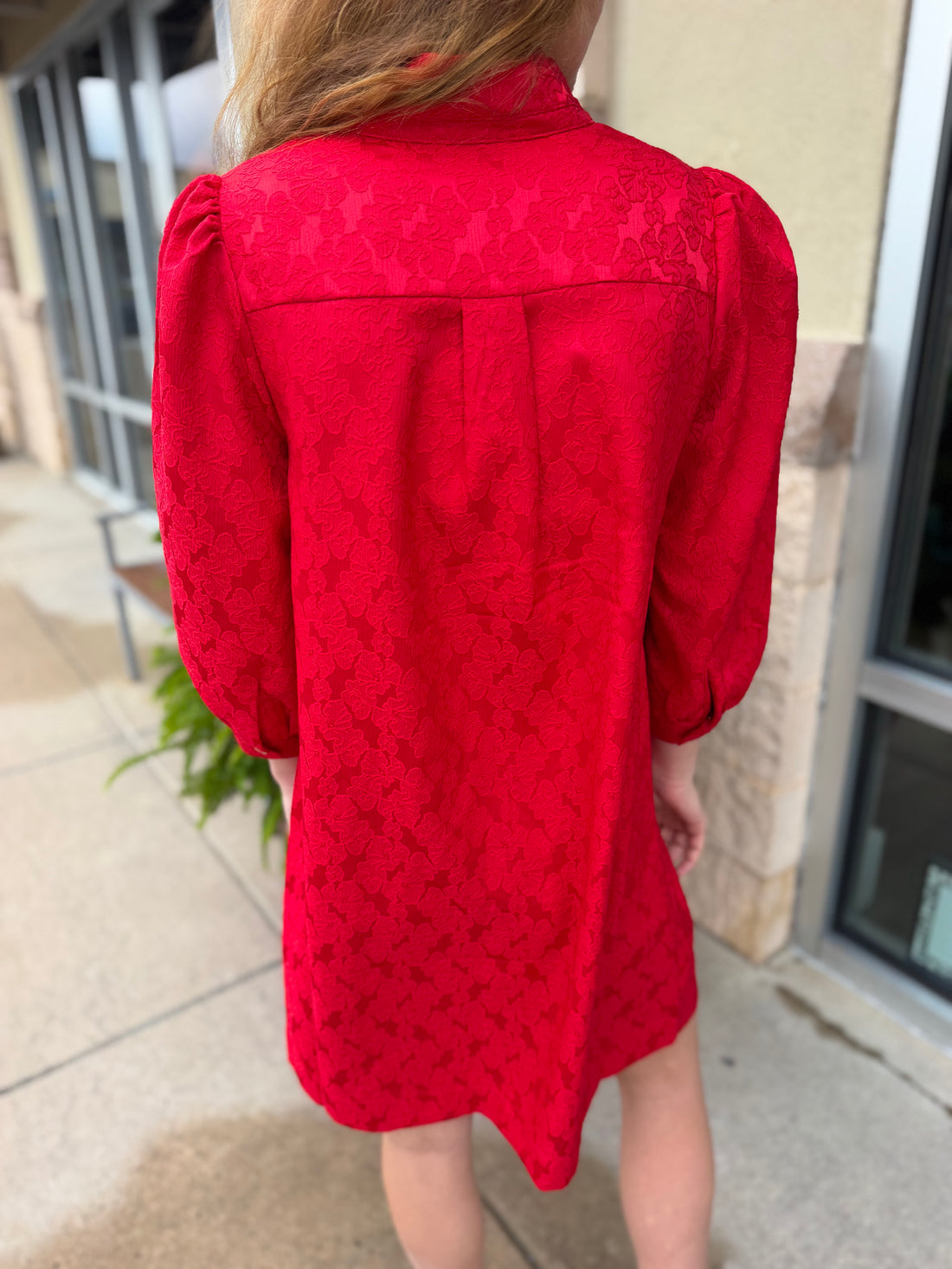 Raelyn Dress